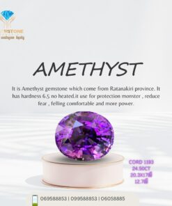 គ្រាប់ស្វាយ24.50ct